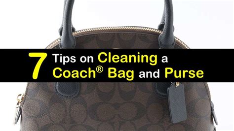 coach purse cleaning services.